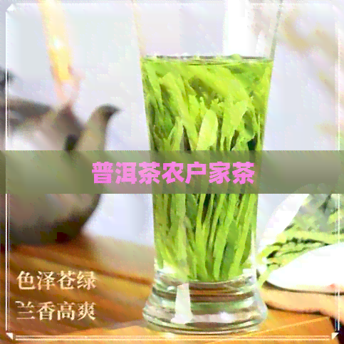 普洱茶农户家茶