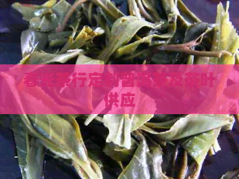 春光茶行定制普洱茶及茶叶供应