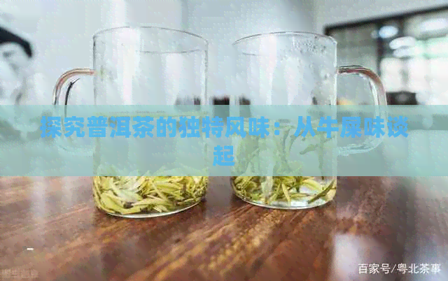 探究普洱茶的独特风味：从牛屎味谈起