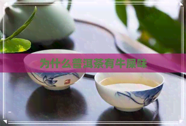 为什么普洱茶有牛屎味