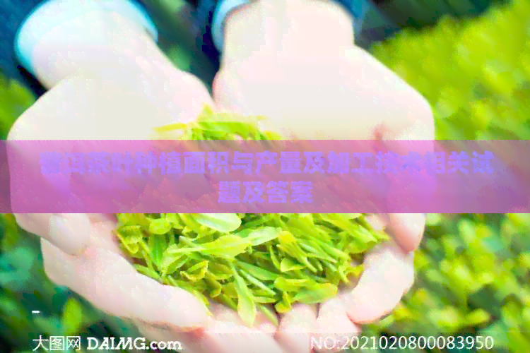 普洱茶叶种植面积与产量及加工技术相关试题及答案