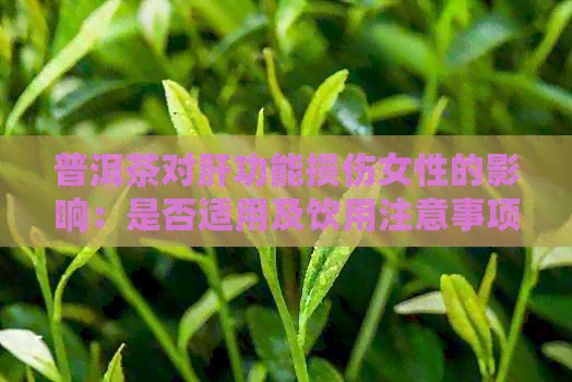 普洱茶对肝功能损伤女性的影响：是否适用及饮用注意事项