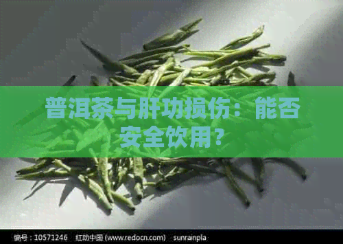 普洱茶与肝功损伤：能否安全饮用？