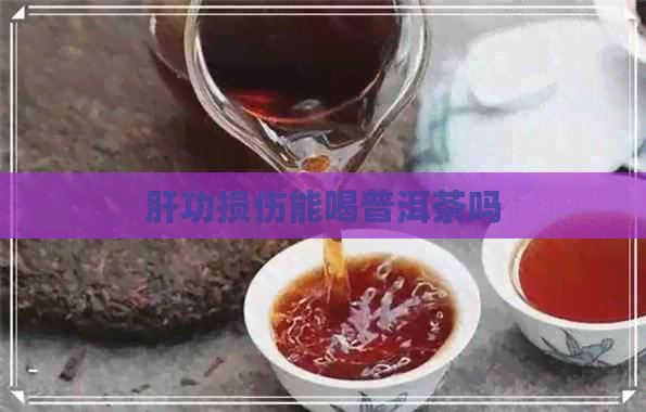 肝功损伤能喝普洱茶吗