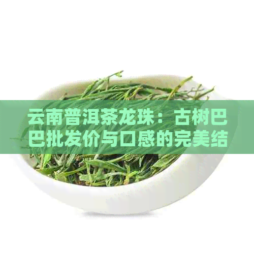 云南普洱茶龙珠：古树巴巴批发价与口感的完美结合