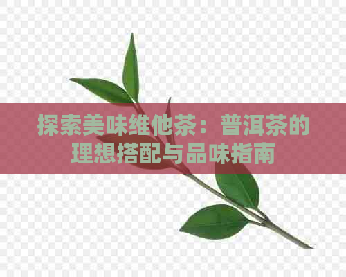 探索美味维他茶：普洱茶的理想搭配与品味指南