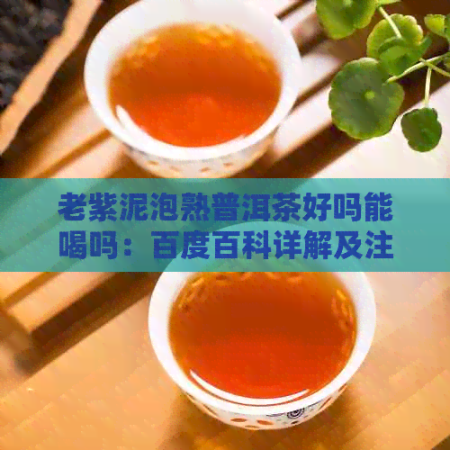 老紫泥泡熟普洱茶好吗能喝吗：百度百科详解及注意事项