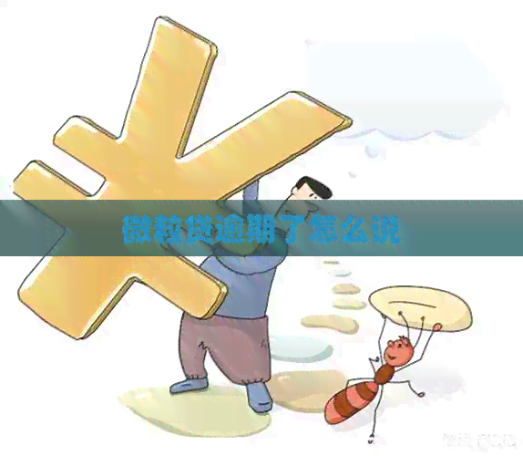 微粒贷逾期了怎么说