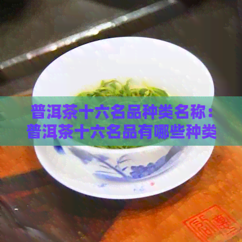 普洱茶十六名品种类名称：普洱茶十六名品有哪些种类