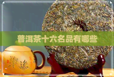 普洱茶十六名品有哪些