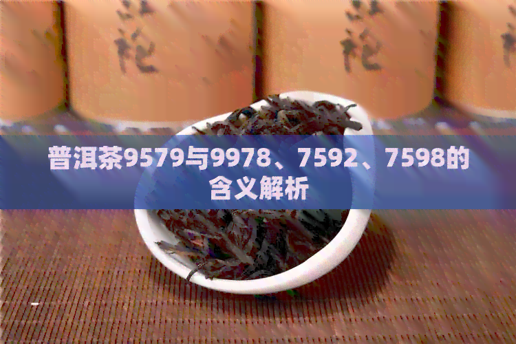 普洱茶9579与9978、7592、7598的含义解析