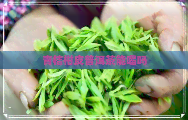 青桔柑皮普洱茶能喝吗