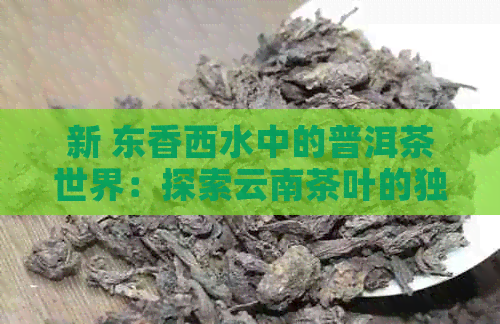 新 东香西水中的普洱茶世界：探索云南茶叶的独特魅力