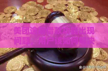 美团逾期借款功能出现问题，用户该如何解决？