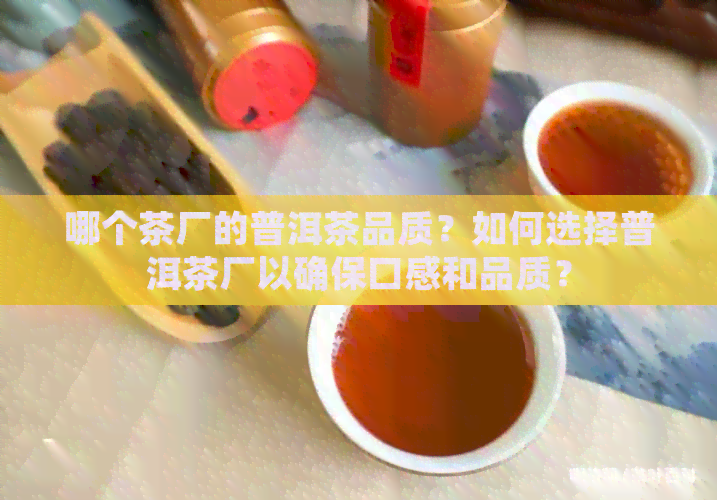 哪个茶厂的普洱茶品质？如何选择普洱茶厂以确保口感和品质？