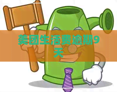 美团生活费逾期9天