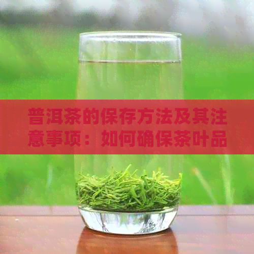 普洱茶的保存方法及其注意事项：如何确保茶叶品质和口感？