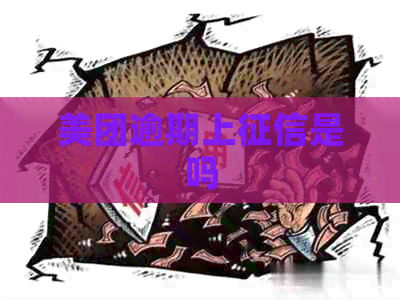 美团逾期上是吗