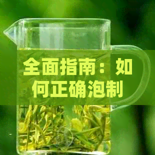 全面指南：如何正确泡制普洱茶，避免苦涩口感的困扰