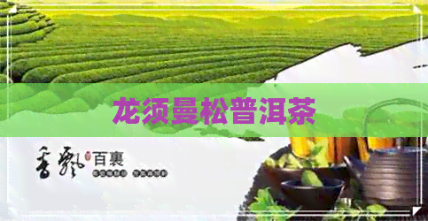 龙须曼松普洱茶