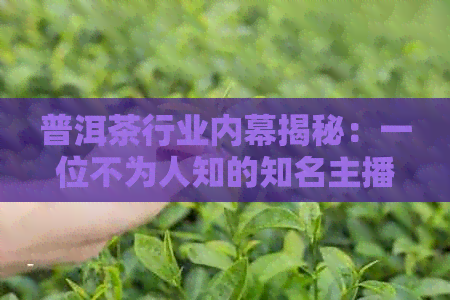 普洱茶行业内幕揭秘：一位不为人知的知名主播直播带货