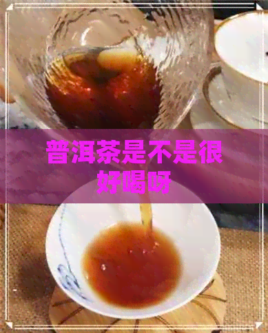 普洱茶是不是很好喝呀