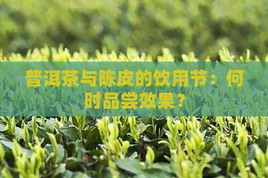 普洱茶与陈皮的饮用节：何时品尝效果？