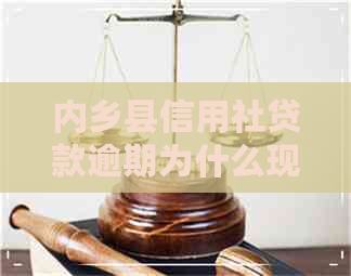 内乡县信用社贷款逾期为什么现在不整治了