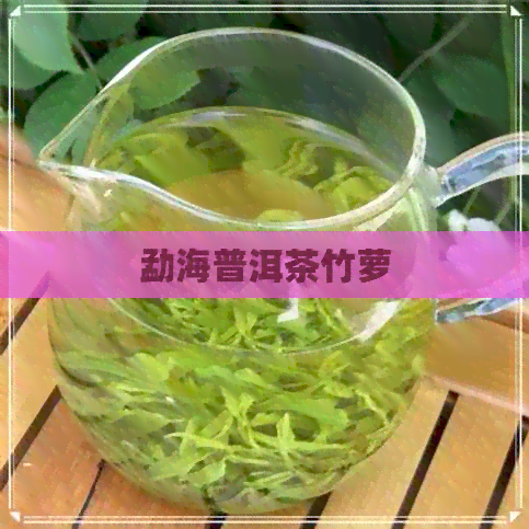 勐海普洱茶竹萝