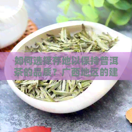 如何选择存地以保持普洱茶的品质？广西地区的建议与指南