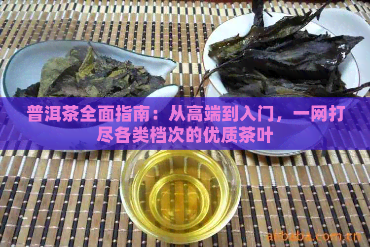 普洱茶全面指南：从高端到入门，一网打尽各类档次的优质茶叶