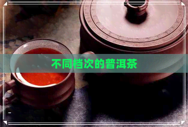 不同档次的普洱茶