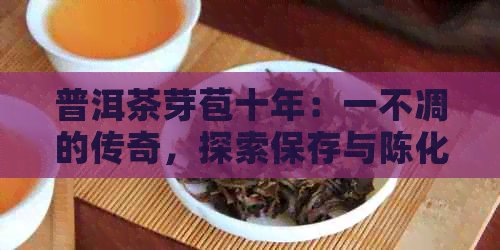 普洱茶芽苞十年：一不凋的传奇，探索保存与陈化的秘密