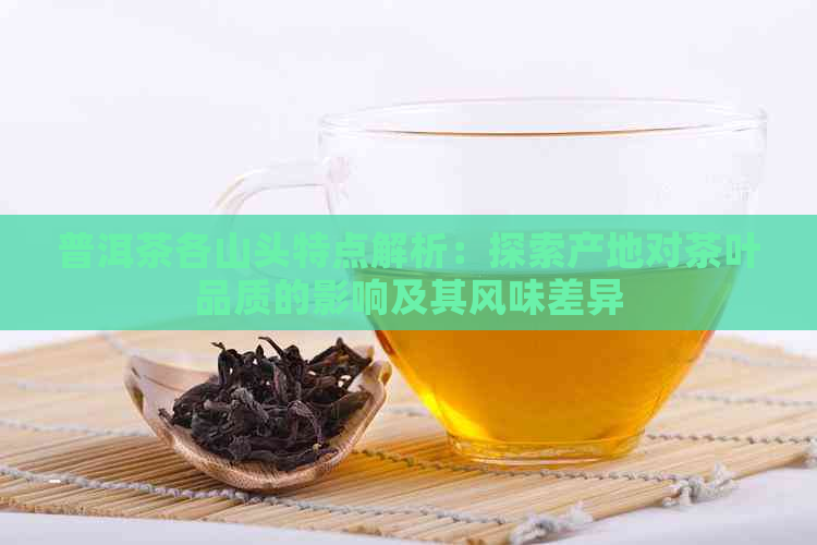 普洱茶各山头特点解析：探索产地对茶叶品质的影响及其风味差异
