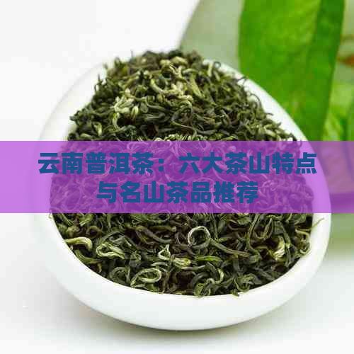 云南普洱茶：六大茶山特点与名山茶品推荐