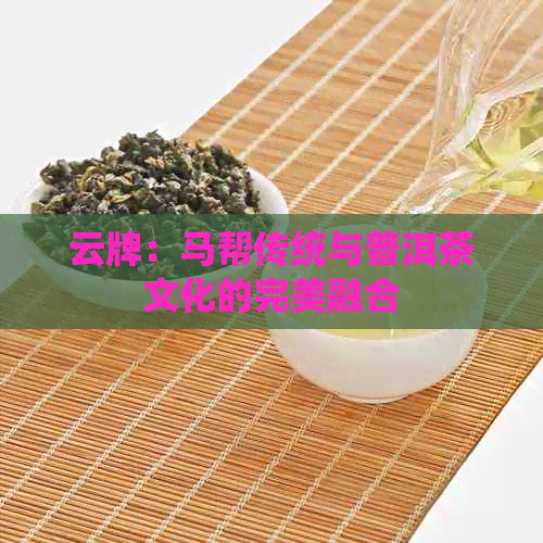 云牌：马帮传统与普洱茶文化的完美融合