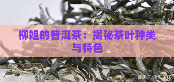 柳姐的普洱茶：揭秘茶叶种类与特色
