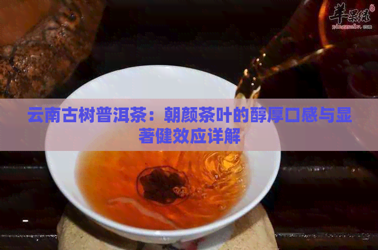 云南古树普洱茶：朝颜茶叶的醇厚口感与显著健效应详解