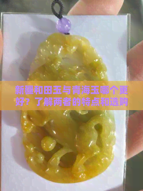 新疆和田玉与青海玉哪个更好？了解两者的特点和选购建议