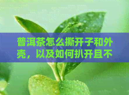 普洱茶怎么撕开子和外壳，以及如何扒开且不碎？