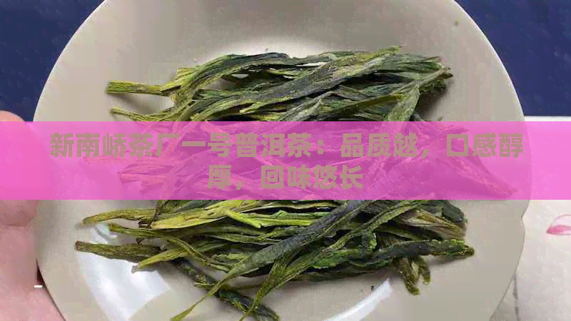 新南峤茶厂一号普洱茶：品质越，口感醇厚，回味悠长