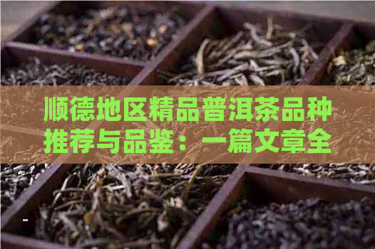 顺德地区精品普洱茶品种推荐与品鉴：一篇文章全面解析顺德喝的普洱茶