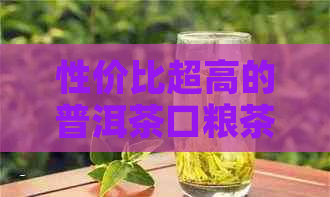 性价比超高的普洱茶口粮茶推荐：好喝又实的不容错过