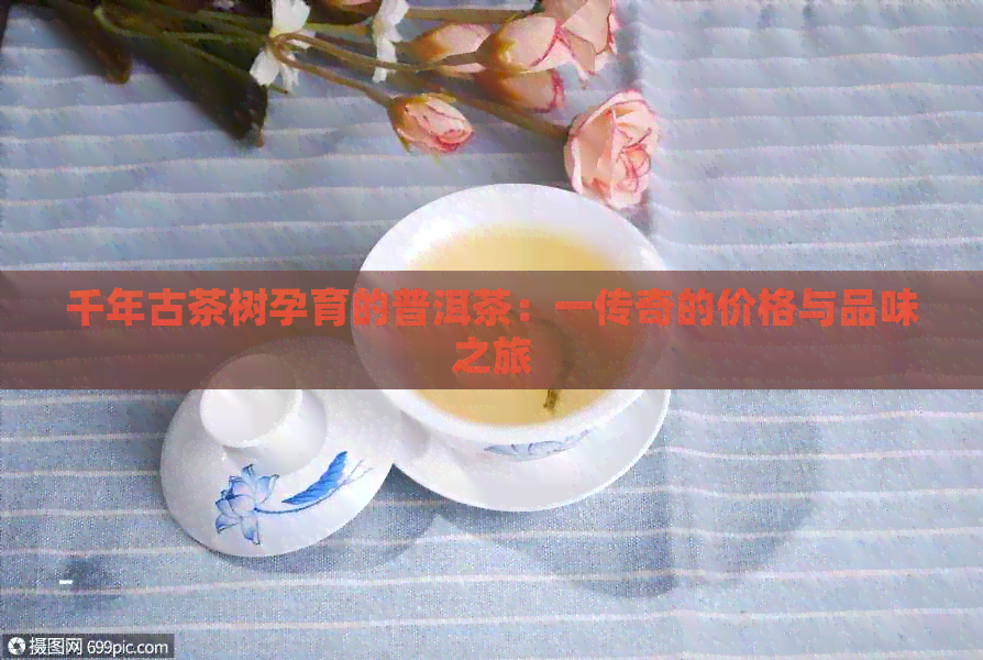 千年古茶树孕育的普洱茶：一传奇的价格与品味之旅