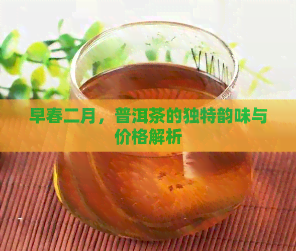 早春二月，普洱茶的独特韵味与价格解析