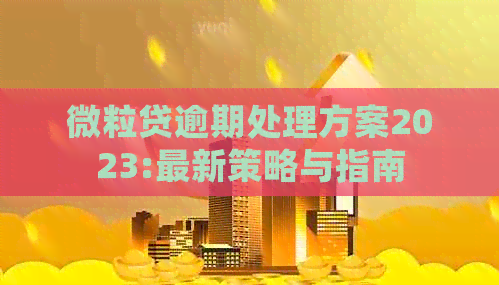 微粒贷逾期处理方案2023:最新策略与指南