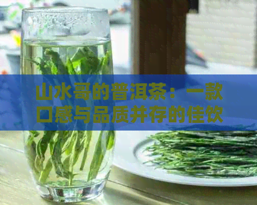 山水哥的普洱茶：一款口感与品质并存的佳饮