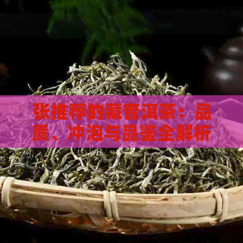 张推荐的藏普洱茶：品质、冲泡与品鉴全解析