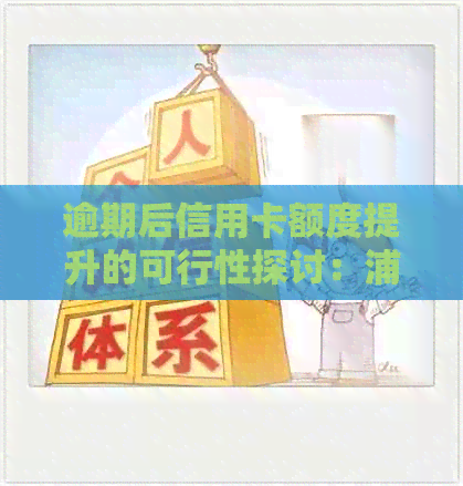 逾期后信用卡额度提升的可行性探讨：浦发卡为例