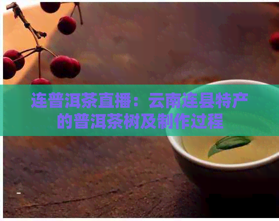 连普洱茶直播：云南连县特产的普洱茶树及制作过程